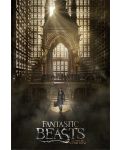 Макси плакат Pyramid - Fantastic Beasts (Teaser) - 1t