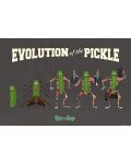 Макси плакат Pyramid - Rick and Morty (Evolution Of The Pickle) - 1t