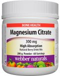 Magnesium Citrate High Absorption, 300 mg, 200 g, Webber Naturals - 1t