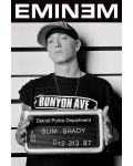 Макси плакат Pyramid - Eminem (Mugshot) - 1t