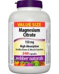 Magnesium Citrate, 150 mg, 240 капсули, Webber Naturals - 1t