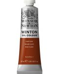 Маслена боя Winsor & Newton Winton - Червена светла, 37 ml - 1t