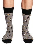 Мъжки чорапи Crazy Sox - Тукан, размер 40-45 - 1t