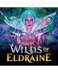 Magic The Gathering: Wilds of Eldraine Collector Booster - 2t