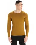 Мъжка блуза Icebreaker - Merino 260 Tech LS Crewe Thermal Top , кафява - 2t