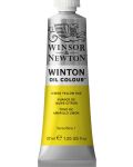 Маслена боя Winsor & Newton Winton - Жълта лимон, 37 ml - 1t