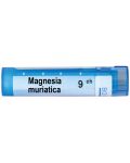 Magnesia muriatica 9CH, Boiron - 1t
