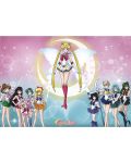 Макси плакат GB eye Animation: Sailor Moon - Sailor Warriors - 1t