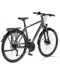 Мъжки велосипед със скорости Cross - Travel Gent, 28'', 480 mm, сив - 2t