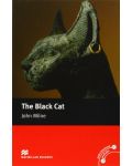 Macmillan Readers: Black cat (ниво Elementary) - 1t