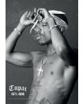 Макси плакат GB eye Music: Tupac - Smoke - 1t