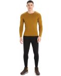 Мъжка блуза Icebreaker - Merino 260 Tech LS Crewe Thermal Top , кафява - 4t