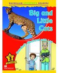 Macmillan English Explorers: Big and little cats (ниво Explorers 3) - 1t
