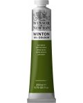 Маслена боя Winsor & Newton Winton - Сап грюн, 200 ml - 1t