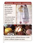 Macmillan Children's Readers: Chocolate, chocolate, Everywhere (ниво level 4) - 4t