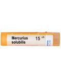 Mercurius solubilis 15CH, Boiron - 1t