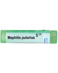 Mephitis putorius 5CH, Boiron - 1t