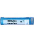 Mercurius corrosivus CH9, Boiron - 1t