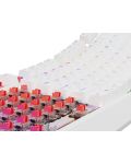 Механична клавиатура Genesis - Thor 230 TKL, Outemu Red, RGB, бяла - 3t