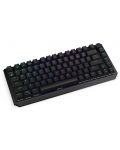 Механична клавиатура Endorfy - Thock 75%, безжична, Red, RGB, черна - 3t