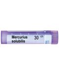 Mercurius solubilis 30CH, Boiron - 1t