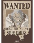Мини плакат GB eye Animation: One Piece - Rayleigh Wanted Poster - 1t