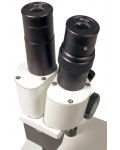 Микроскоп Levenhuk - 2ST, бинокулярен, бял - 4t