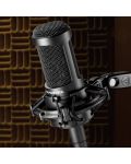 Микрофон Audio-Technica - AT2035, черен - 6t