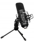 Микрофон Cascha - HH 5050 Studio XLR, черен - 1t