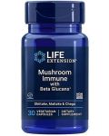 Mushroom Immune with Beta Glucans, 30 веге капсули, Life Extension - 1t