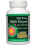 Multi Enzyme Full Spectrum, 450 mg, 60 капсули, Natural Factors - 1t