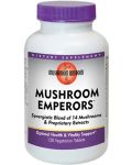 Mushroom Emperors, 120 таблетки, Mushroom Wisdom - 1t