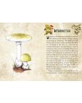 Mushroom Spirit Oracle (36 Cards and 112-Page Guidebook) - 3t