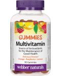 Мultivitamin Gummies, 90 таблетки, Webber Naturals - 1t