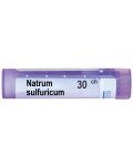 Natrum sulfuricum 30CH, Boiron - 1t