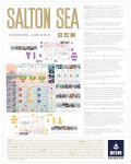 Настолна игра Salton Sea - Стратегическа - 3t