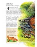 Най-известните животни в България и по света (Зелена корица) - 2t