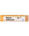 Natrum sulfuricum 15CH, Boiron - 1t