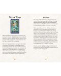 Neopets: The Official Tarot Deck (78-Card Deck and 176-Page Guidebook) - 5t