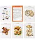 New York Botanical Garden Mushroom Identification Flashcards - 3t