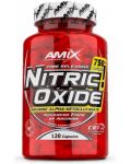 Nitric Oxide, 750 mg, 120 капсули, Amix - 1t