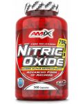 Nitric Oxide, 750 mg, 360 капсули, Amix - 1t