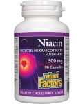 Niacin Inositol Hexanicotinate, 90 капсули, Natural Factors - 1t