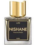 Nishane No Boundaries Парфюмен екстракт Ani, 50 ml - 1t