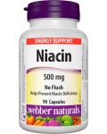 Niacin, 500 mg, 90 капсули, Webber Naturals - 1t