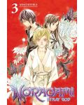 Noragami Stray God, Vol. 3: Fighting The Blight - 1t