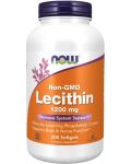 Non-GMO Lecithin, 200 капсули, Now - 1t