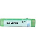 Nux vomica 5CH, Boiron - 1t
