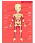 Образователен пъзел Eurekakids - Човешкото тяло, 100 части - 3t