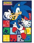 Одеяло Sega Games: Sonic the Hedgehog - Sonic the Hedgehog - 1t